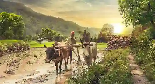National Farmers Day 2021 in Hindi