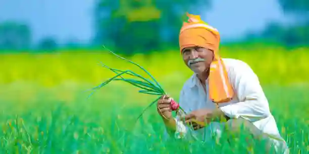 National Farmers Day 2021 in Hindi