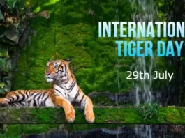 International Tiger day 2022 in hindi